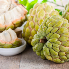 Sarı Şeker Elması Fidanı (Yellow Sugar) - Tüplü Egzotik Meyve Fidanı 20-30 cm