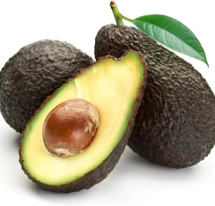 Aşılı Hass Avokado Fidanı 50-70 cm - Tüplü Her Mevsim Dikilebilir Verimli Meyve Fidanı