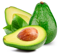 Aşılı Fuerte Avokado Fidanı 50-70 cm - Tüplü Soğuğa Dayanıklı Verimli Meyve Fidanı