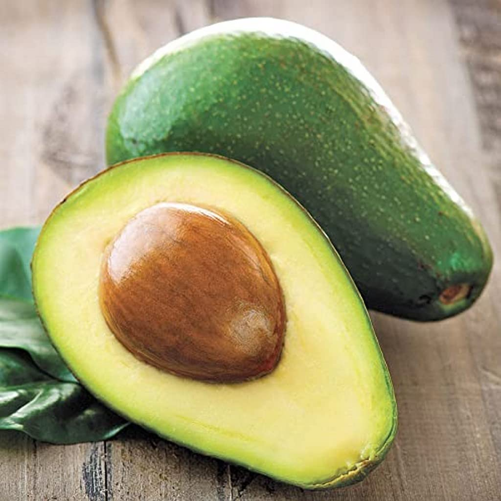 Aşılı Zutano Avokado Fidanı 50-70 cm - Bahçenizin Verimini Artıran En Güçlü Tozlayıcı Tür