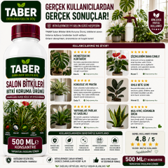 TABER Salon Bitkileri Bitki Bakım Ürünü 500 ML Konsantre | İç Mekân Bitkileri İçin Yapraktan Uygulama