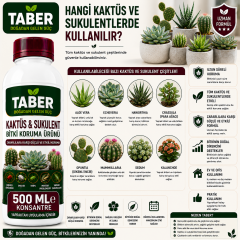 TABER Kaktüs & Sukulent Bitki Bakım Ürünü 500 ML Konsantre | Kaktüs ve Sukulentler İçin Yapraktan Uygulama
