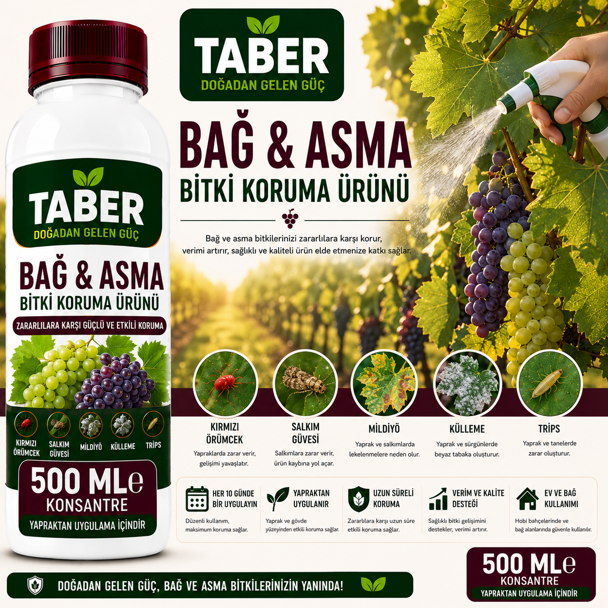 TABER Bağ & Asma Bitki Bakım Ürünü 500 ML Konsantre | Bağ ve Asmalar İçin Yapraktan Uygulama