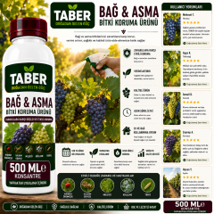 TABER Bağ & Asma Bitki Bakım Ürünü 500 ML Konsantre | Bağ ve Asmalar İçin Yapraktan Uygulama