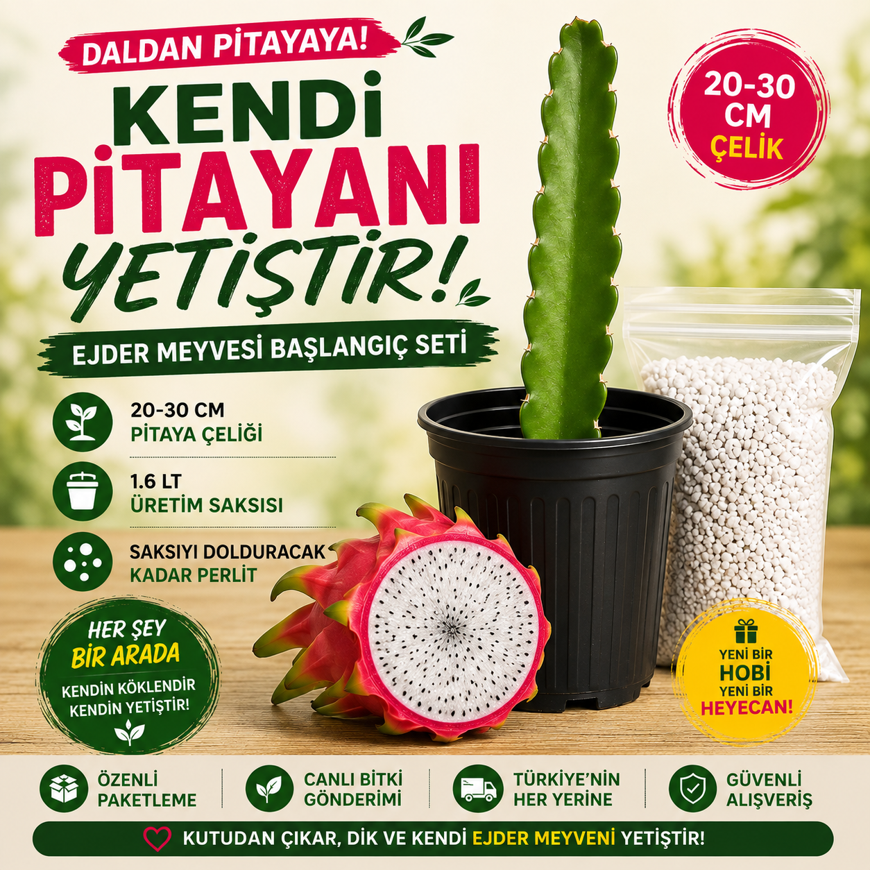 Kendi Pitayanı Yetiştir! Ejder Meyvesi Başlangıç Seti 20-30 cm Çelik + 1,6 L Saksı + Perlit