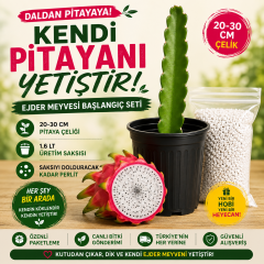 Kendi Pitayanı Yetiştir! Ejder Meyvesi Başlangıç Seti 20-30 cm Çelik + 1,6 L Saksı + Perlit
