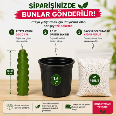Kendi Pitayanı Yetiştir! Ejder Meyvesi Başlangıç Seti 20-30 cm Çelik + 1,6 L Saksı + Perlit