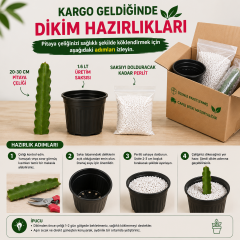 Kendi Pitayanı Yetiştir! Ejder Meyvesi Başlangıç Seti 20-30 cm Çelik + 1,6 L Saksı + Perlit
