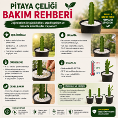 Kendi Pitayanı Yetiştir! Ejder Meyvesi Başlangıç Seti 20-30 cm Çelik + 1,6 L Saksı + Perlit