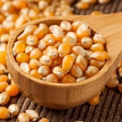 Patlatmalık Doğal Mısır Tohumu (25 Adet)