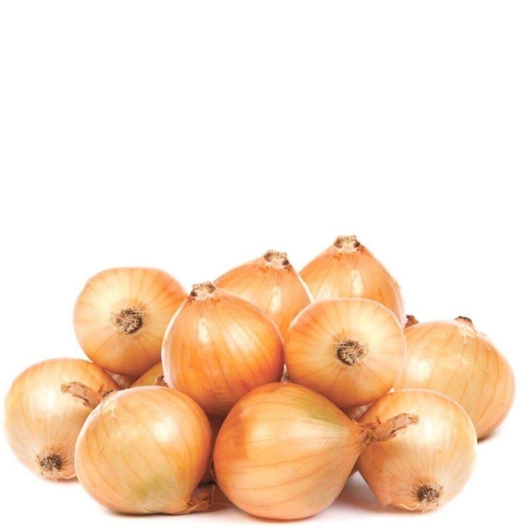 Doğal Walla Walla Soğan Tohumu (50 tohum)