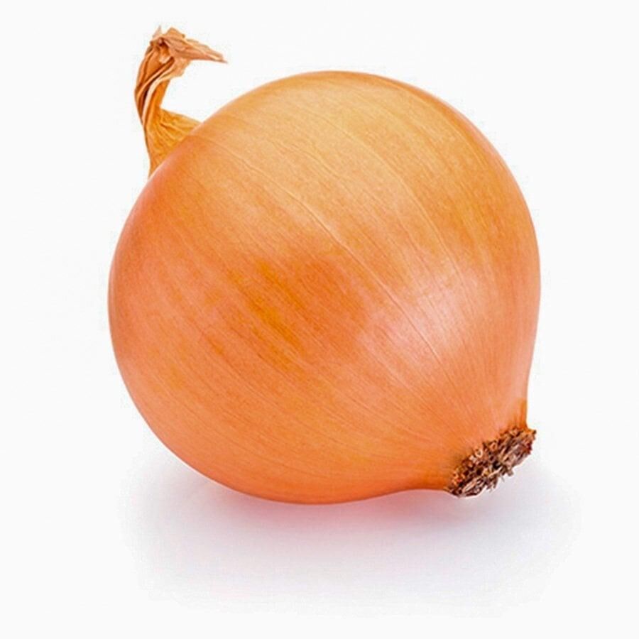 Valencia Soğan Tohumu (2 gram)