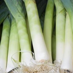 Doğal Super Elegant Pırasa Tohumu (25 adet)