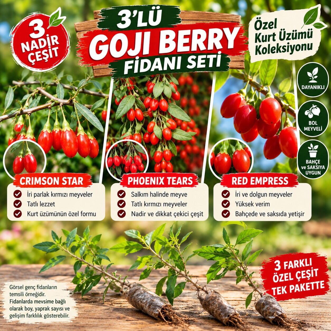 3'lü Goji Berry Fidanı Seti – Red Empress, Phoenix Tears, Crimson Star | Özel Kurt Üzümü Koleksiyonu
