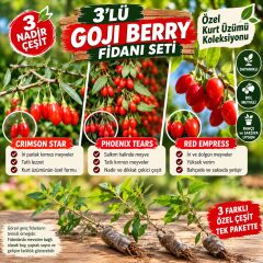3'lü Goji Berry Fidanı Seti – Red Empress, Phoenix Tears, Crimson Star | Özel Kurt Üzümü Koleksiyonu