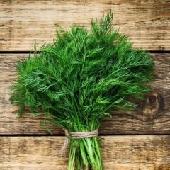 Doğal Dere Otu Tohumu (100 tohum)