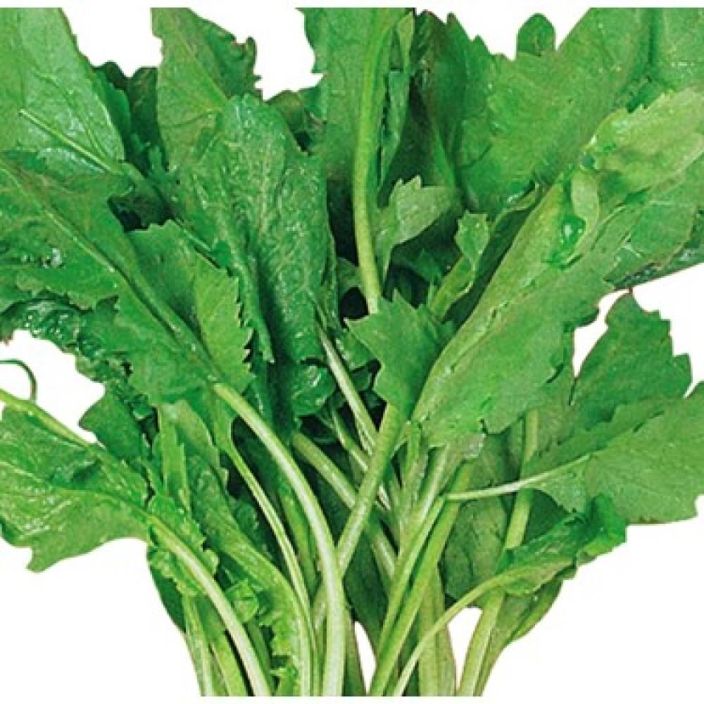 Tere Tohumu 10 gr Paket