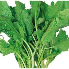 Tere Tohumu 10 gr Paket