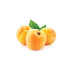 Tüplü, Aşılı Şekerpare Kayısı Fidanı