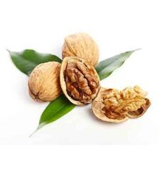 5'li Chandler Ceviz Fidanı Pakedi (4+1 Hediye)