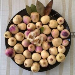 Tüplü Beyaz Hambeles (Murt) Fidanı